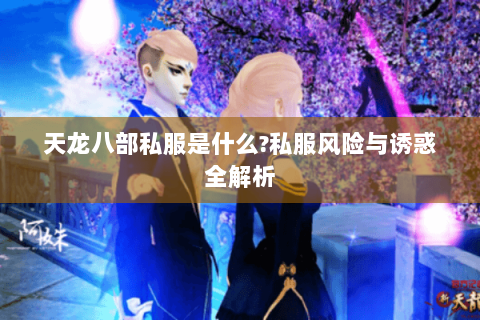 天龙八部私服是什么?私服风险与诱惑全解析