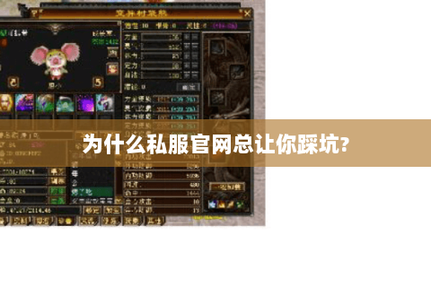 为什么私服官网总让你踩坑?