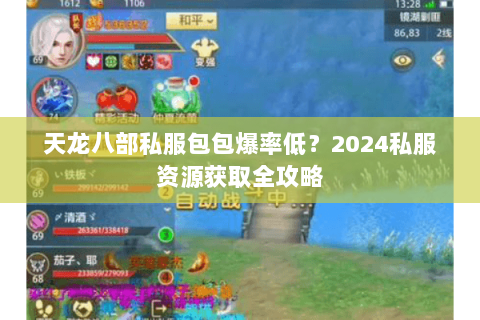 天龙八部私服包包爆率低？2024私服资源获取全攻略