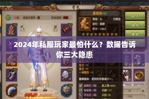 2024年私服玩家最怕什么？数据告诉你三大隐患