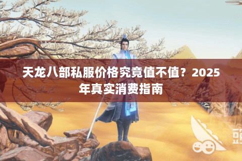 天龙八部私服价格究竟值不值？2025年真实消费指南