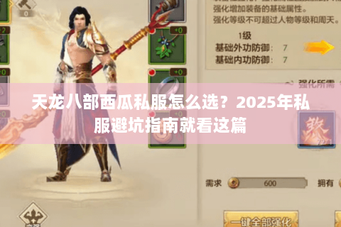 天龙八部西瓜私服怎么选？2025年私服避坑指南就看这篇