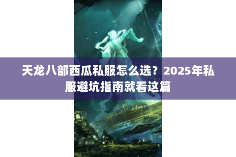 天龙八部西瓜私服怎么选？2025年私服避坑指南就看这篇