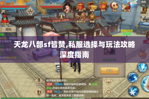 天龙八部sf皆赞,私服选择与玩法攻略深度指南