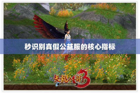 秒识别真假公益服的核心指标