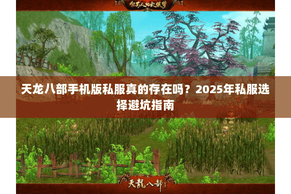 天龙八部手机版私服真的存在吗？2025年私服选择避坑指南