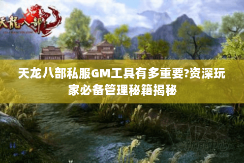 天龙八部私服GM工具有多重要?资深玩家必备管理秘籍揭秘