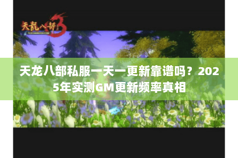 天龙八部私服一天一更新靠谱吗？2025年实测GM更新频率真相