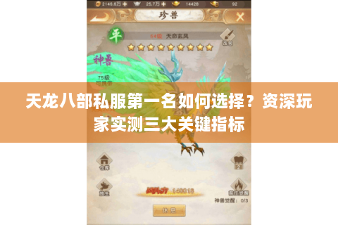 天龙八部私服第一名如何选择？资深玩家实测三大关键指标