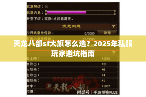 天龙八部sf大旗怎么选？2025年私服玩家避坑指南