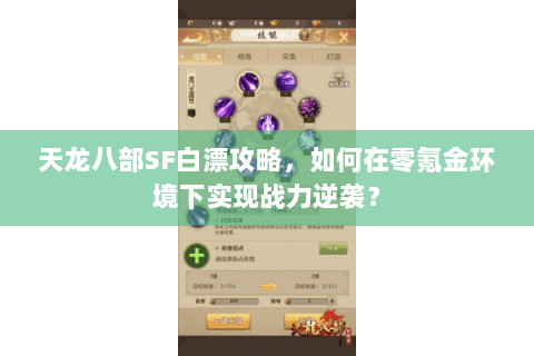 天龙八部SF白漂攻略，如何在零氪金环境下实现战力逆袭？