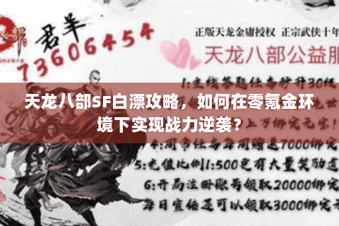 天龙八部SF白漂攻略，如何在零氪金环境下实现战力逆袭？