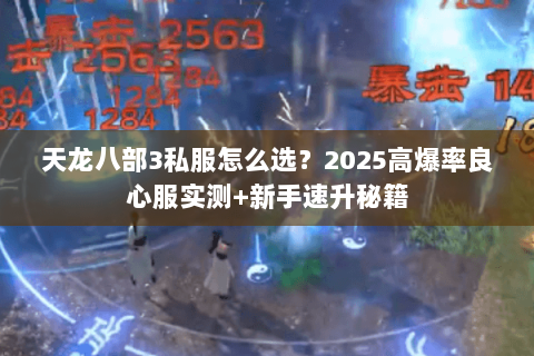 天龙八部3私服怎么选？2025高爆率良心服实测+新手速升秘籍