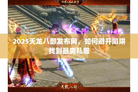 2025天龙八部发布网，如何避开陷阱找到最爽私服