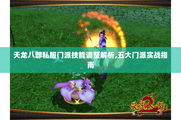 天龙八部私服门派技能调整解析,五大门派实战指南