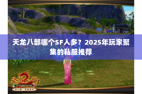 天龙八部哪个SF人多？2025年玩家聚集的私服推荐