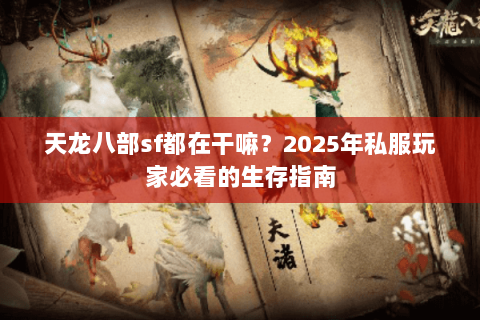 天龙八部sf都在干嘛？2025年私服玩家必看的生存指南
