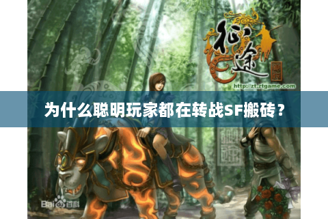 为什么聪明玩家都在转战SF搬砖？