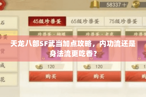 天龙八部SF武当加点攻略，内功流还是身法流更吃香？