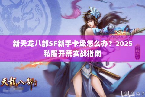 新天龙八部SF新手卡级怎么办？2025私服开荒实战指南