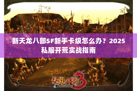 新天龙八部SF新手卡级怎么办？2025私服开荒实战指南