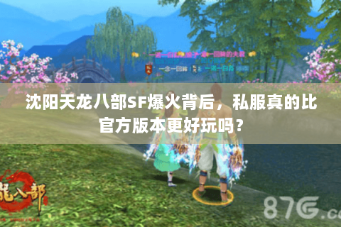 沈阳天龙八部SF爆火背后，私服真的比官方版本更好玩吗？