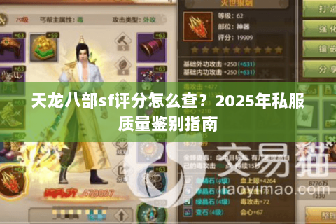 天龙八部sf评分怎么查？2025年私服质量鉴别指南