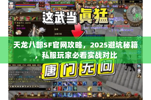 天龙八部SF官网攻略，2025避坑秘籍，私服玩家必看实战对比