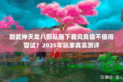 新武神天龙八部私服下载究竟值不值得尝试？2025年玩家真实测评