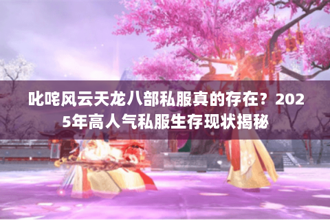 叱咤风云天龙八部私服真的存在？2025年高人气私服生存现状揭秘