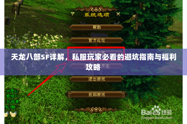 天龙八部SF详解，私服玩家必看的避坑指南与福利攻略