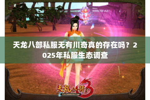 天龙八部私服无有川奇真的存在吗？2025年私服生态调查