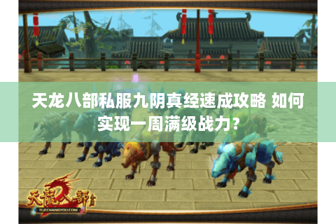 天龙八部私服九阴真经速成攻略 如何实现一周满级战力？