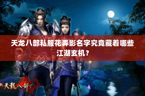 天龙八部私服花弄影名字究竟藏着哪些江湖玄机？