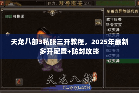 天龙八部3私服三开教程,2025年最新多开配置+防封攻略 天龙八部3私服三开教程,2025年最新多开配置+防封攻略