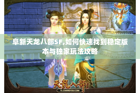 阜新天龙八部SF,如何快速找到稳定版本与独家玩法攻略