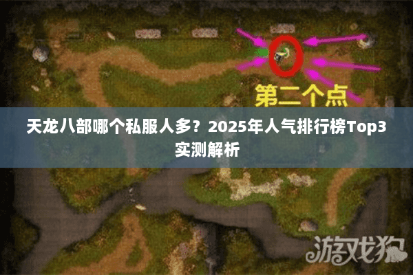 天龙八部哪个私服人多?2025年人气排行榜Top3实测解析 天龙八部哪个私服人多?2025年人气排行榜Top3实测解析