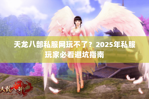 天龙八部私服网玩不了？2025年私服玩家必看避坑指南