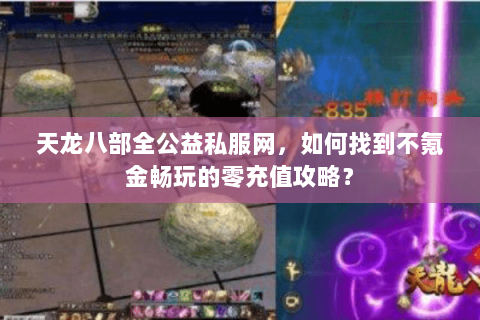 天龙八部全公益私服网，如何找到不氪金畅玩的零充值攻略？