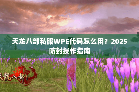 天龙八部私服WPE代码怎么用？2025防封操作指南