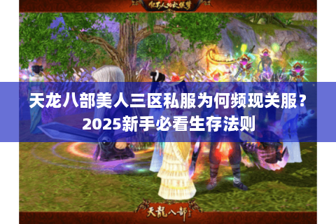 天龙八部美人三区私服为何频现关服?2025新手必看生存法则 天龙八部美人三区私服为何频现关服?2025新手必看生存法则