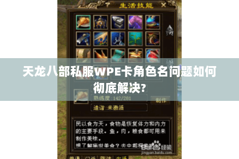 天龙八部私服WPE卡角色名问题如何彻底解决?