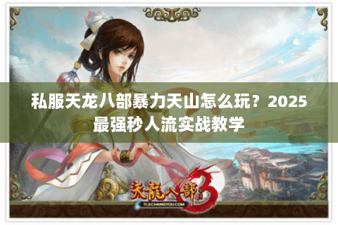 私服天龙八部暴力天山怎么玩？2025最强秒人流实战教学