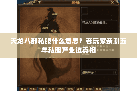 天龙八部私服什么意思？老玩家亲测五年私服产业链真相
