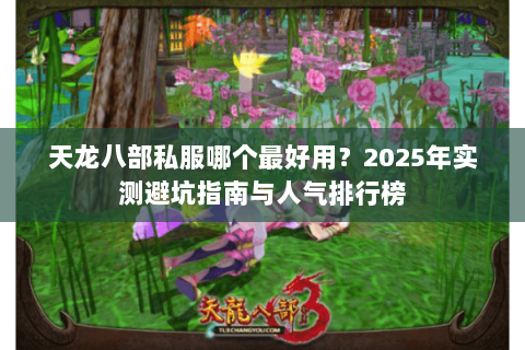 天龙八部私服哪个最好用？2025年实测避坑指南与人气排行榜