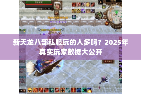 新天龙八部私服玩的人多吗？2025年真实玩家数据大公开