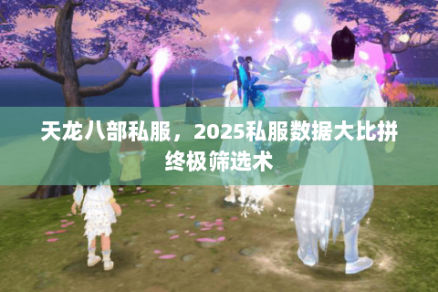 天龙八部私服，2025私服数据大比拼终极筛选术