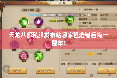 天龙八部私服发布站哪家强选错后悔一整年！