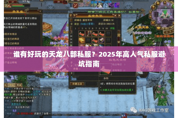 谁有好玩的天龙八部私服？2025年高人气私服避坑指南