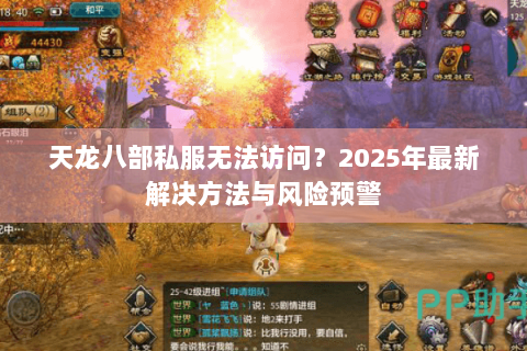 天龙八部私服无法访问？2025年最新解决方法与风险预警
